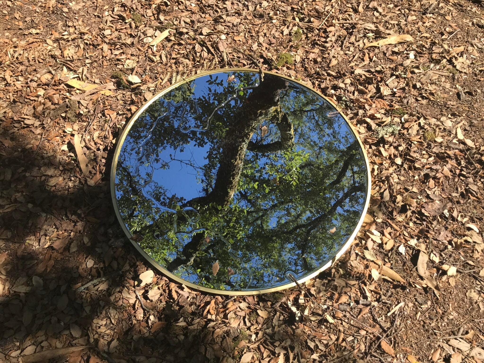 The Acoustic Architects: 7 Sound Artists Redesigning Our World