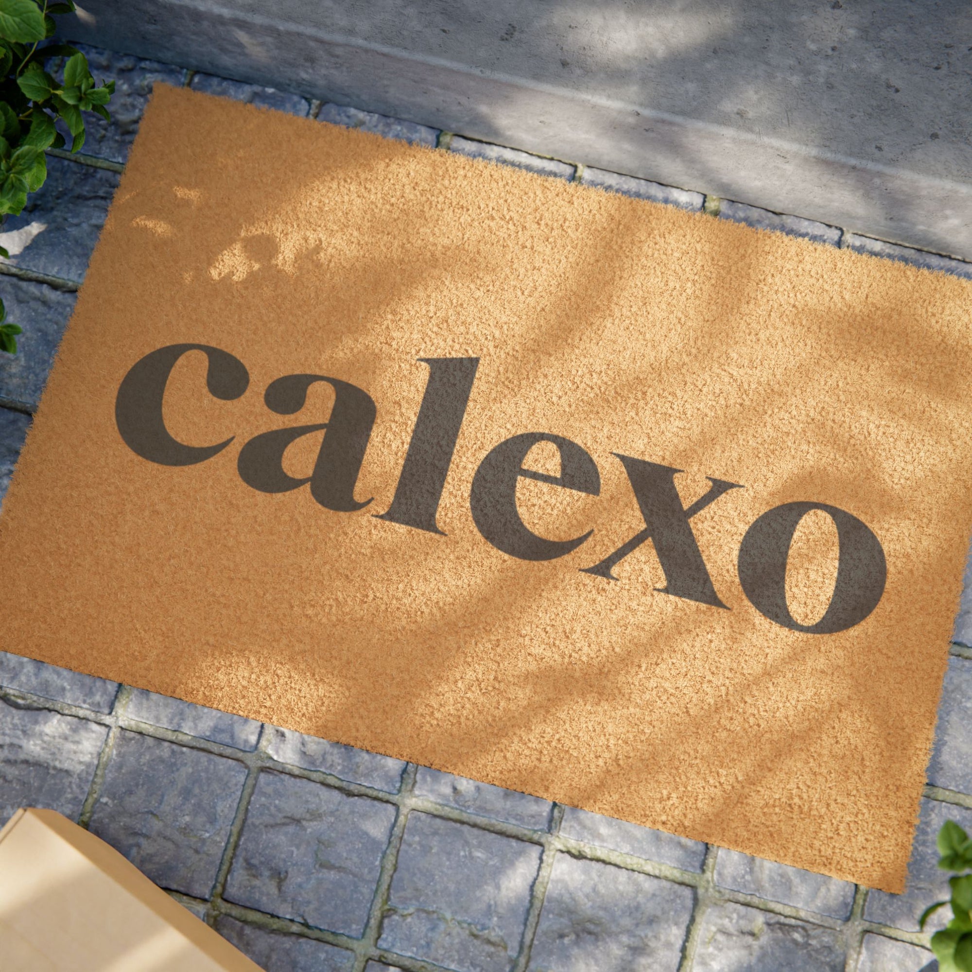 Stationary Foot Debris Remover (Copy)