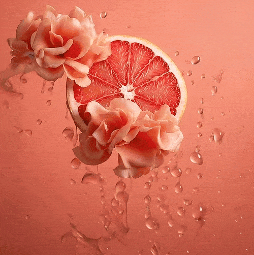 Citrus Rose - Non-Alcoholic Sparkling Mocktail - 12oz