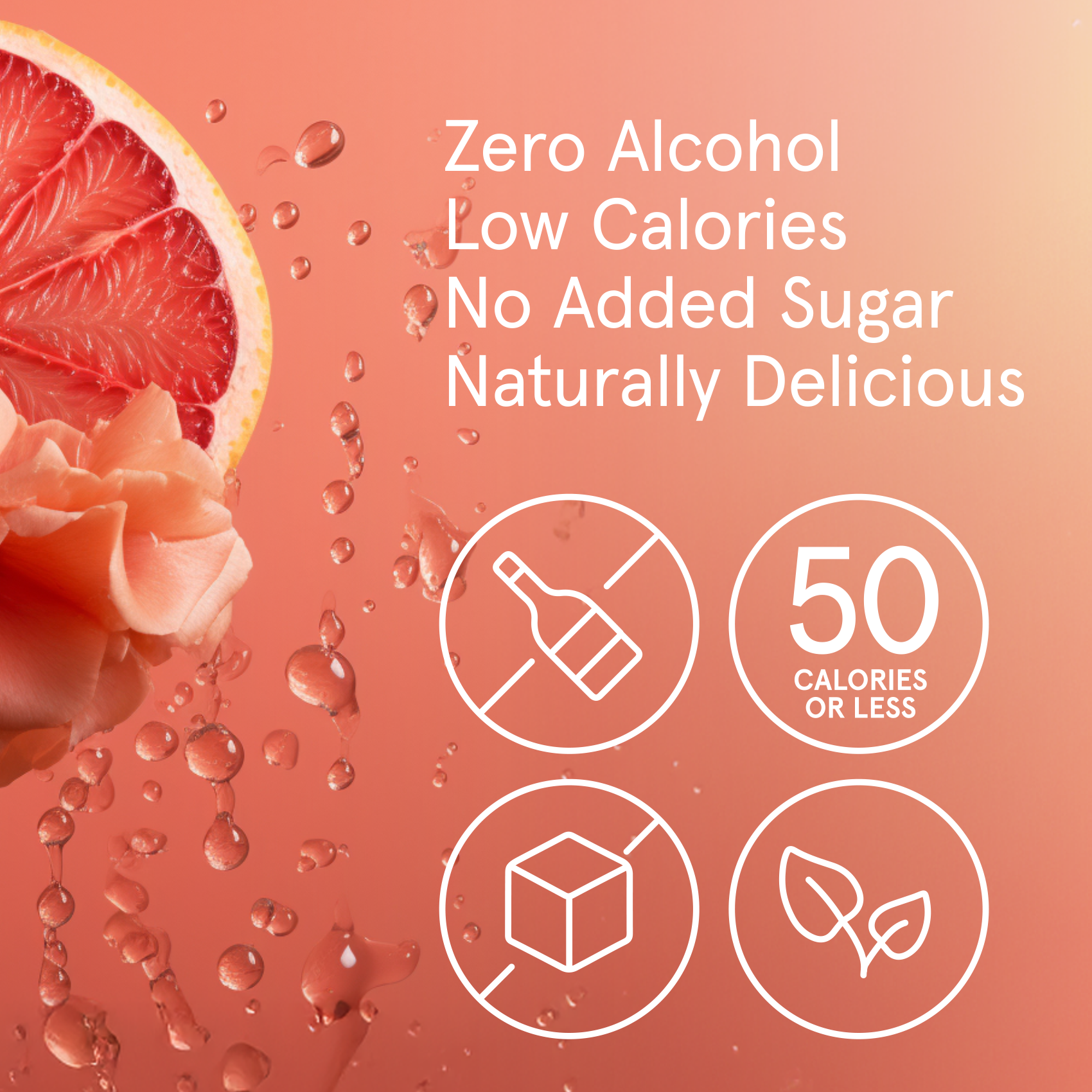 Citrus Rose - Non-Alcoholic Sparkling Mocktail - 12oz